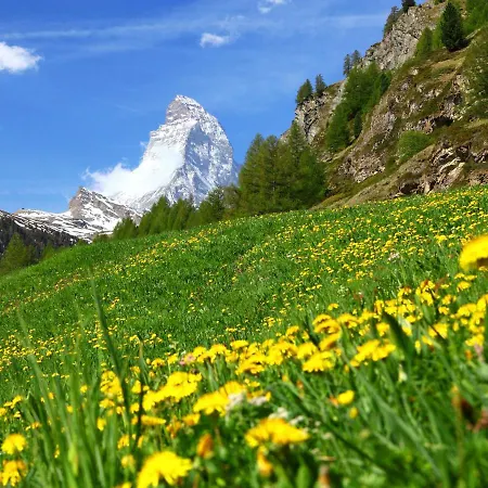 Apartment Chalet Dossen Zermatt